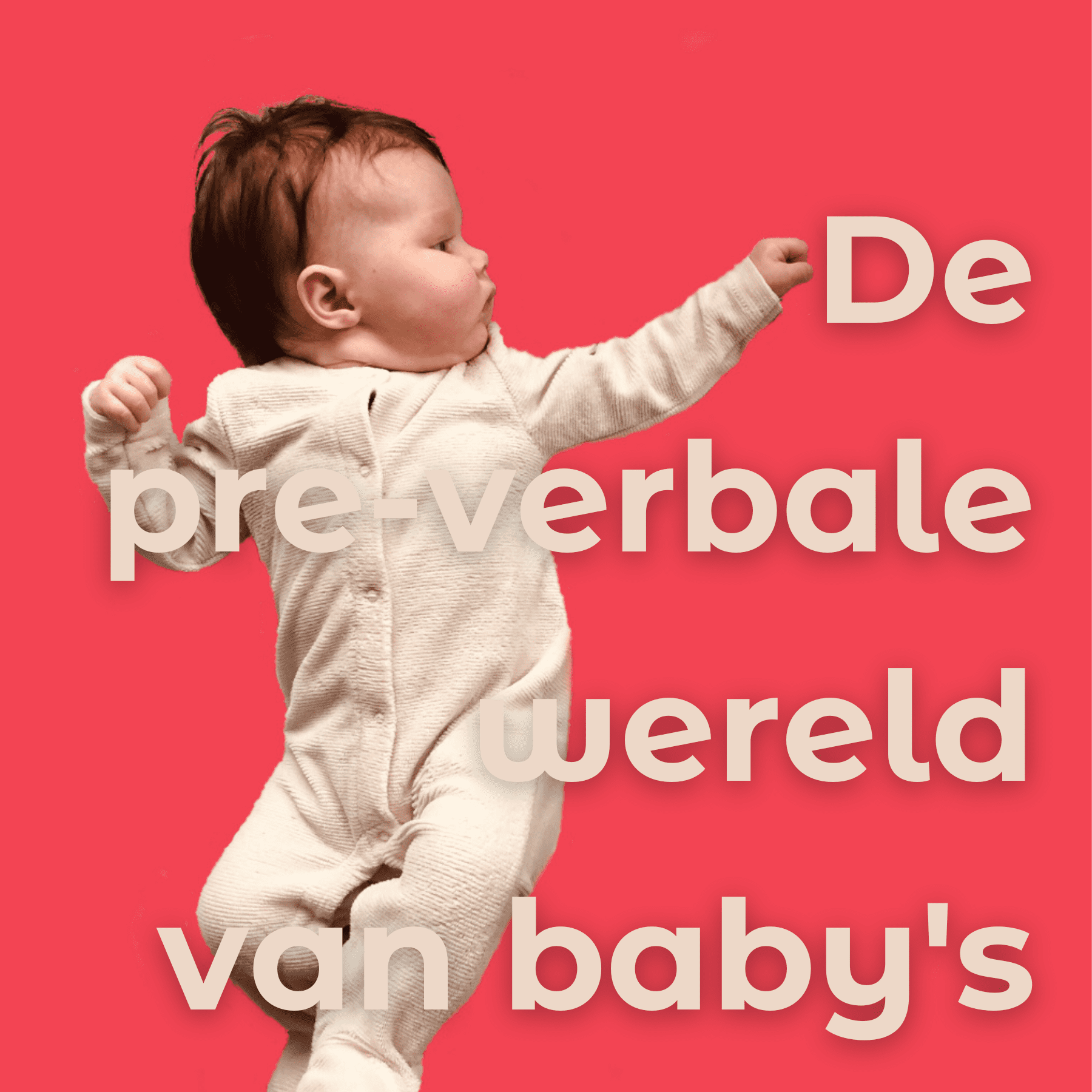 De pre-verbale wereld van baby's