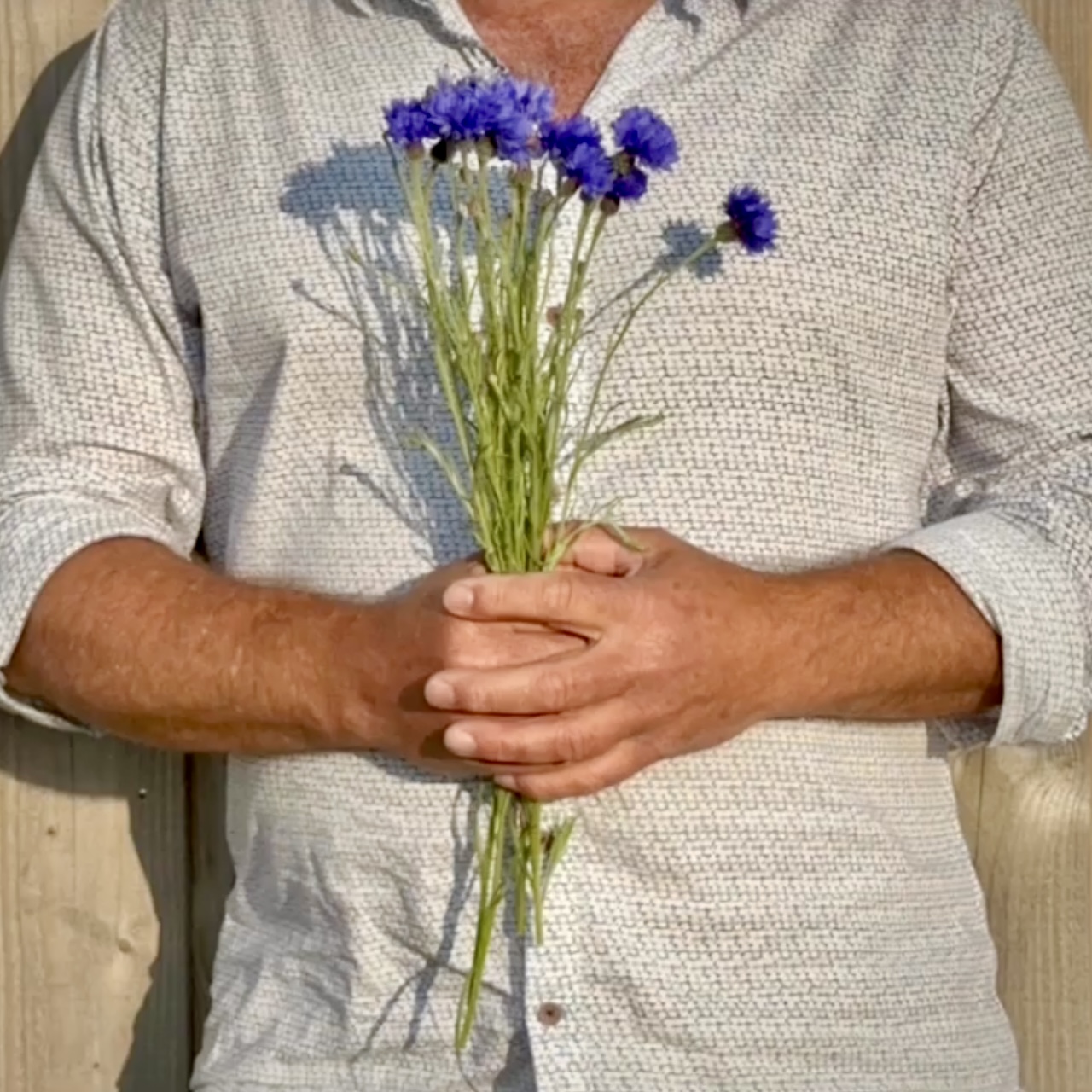 Herinneringen van een hand